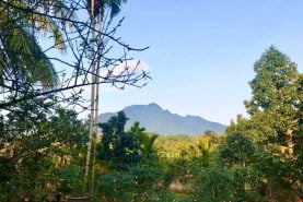 Lễ Đền Thượng Núi Ba Vì