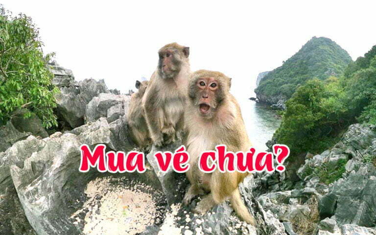 Vé Thắng Cảnh đảo Cát Bà Mua vé thắng cảnh Cát Bà