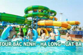 Tour Bắc Ninh - Hạ Long - Cát Bà