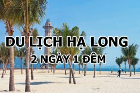 hà nội - Hạ Long 2 ngày 1 đêm