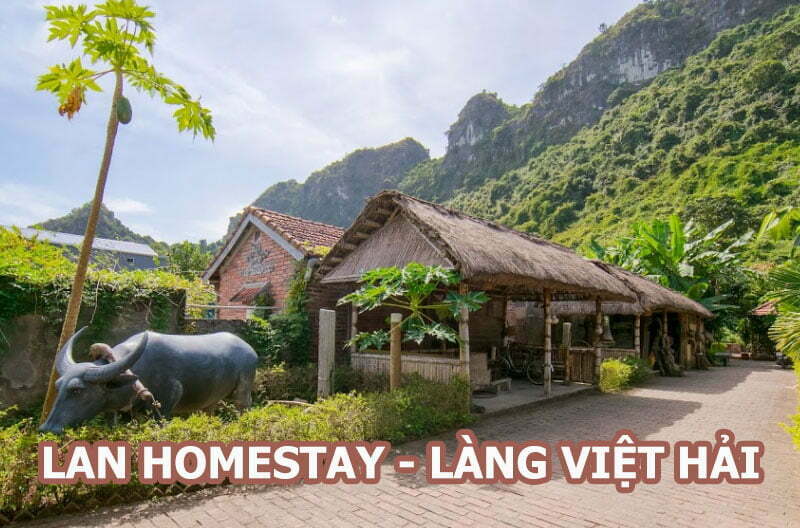 Lan Homestay Làng Việt Hải, Cát Bà