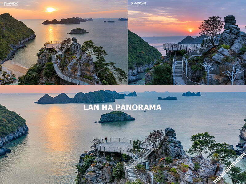 Lan Hạ Panorama