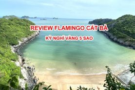 Review Flamingo Cát Bà