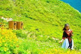 H'Mong Village Hà Giang