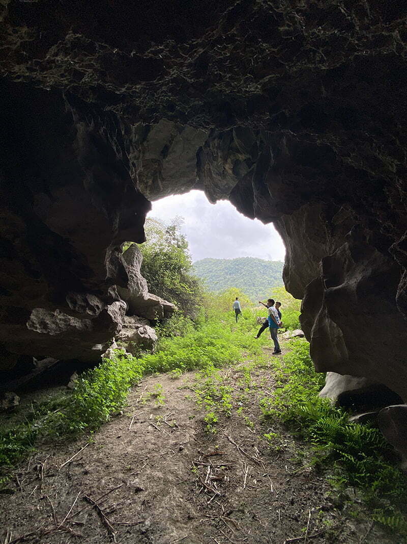 nhìn từ trong hang