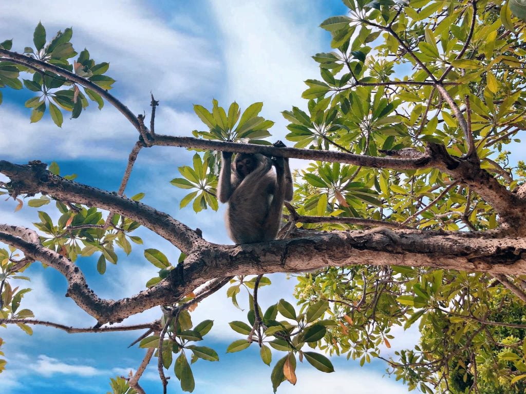 Cưỡng chế công trình trái phép trên Vịnh Lan Hạ Cưỡng chế công trình trái phép