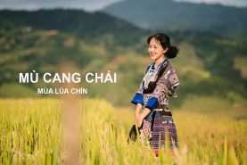 Mù Cang Chải mùa lúa chín