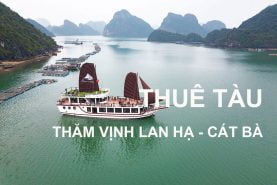 Thuê tàu thăm Vịnh Lan Hạ Cát Bà