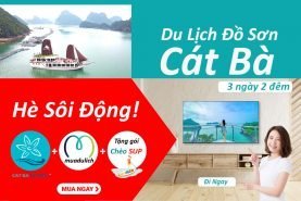 Tour Hà Nội Đồ Sơn Cát Bà