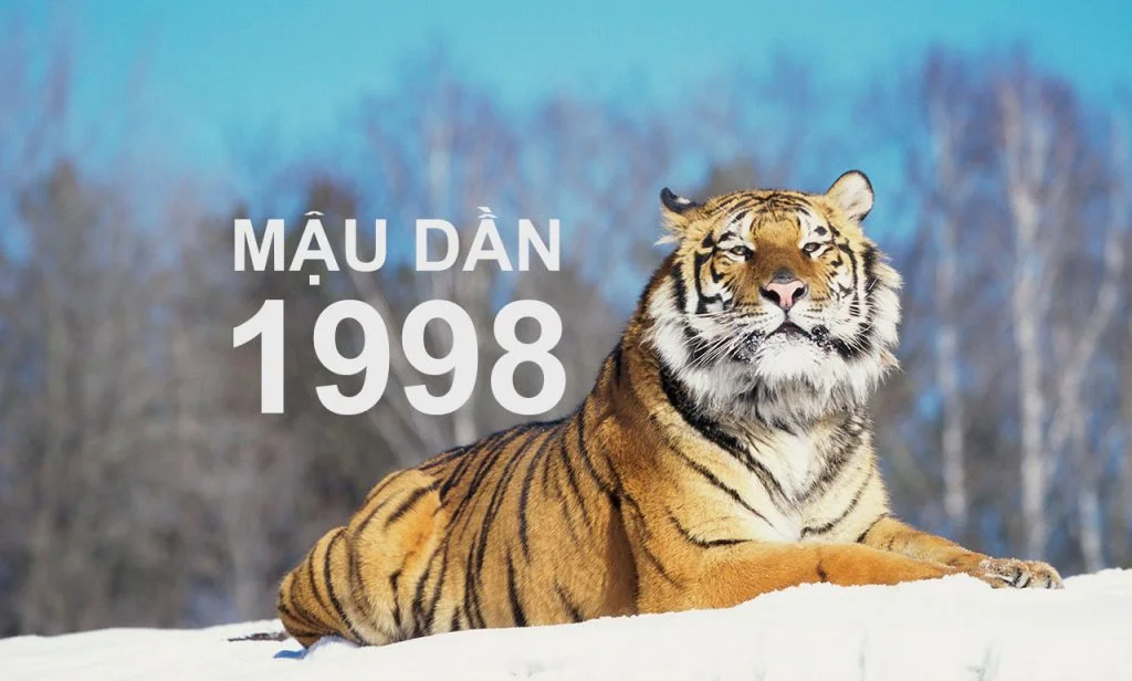 1998 Mệnh Gì? Mệnh Thổ