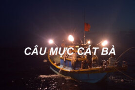 Tour Câu Mực Cát Bà từ 18h đến 23h hàng ngày