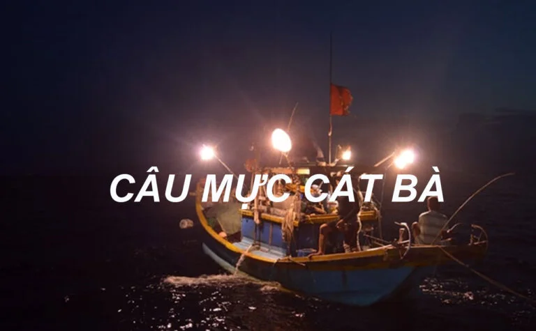 Tour Câu Mực Cát Bà từ 18h đến 23h hàng ngày