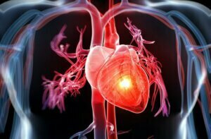 Đông trùng hạ thảo có tác dụng cực tốt đối với người bệnh tim mạch